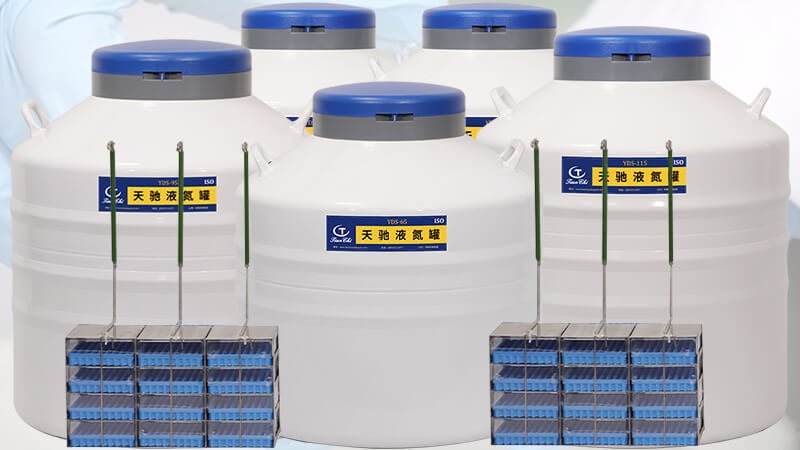 能放凍存盒的貯存型液氮(dàn)罐口徑多大(dà)