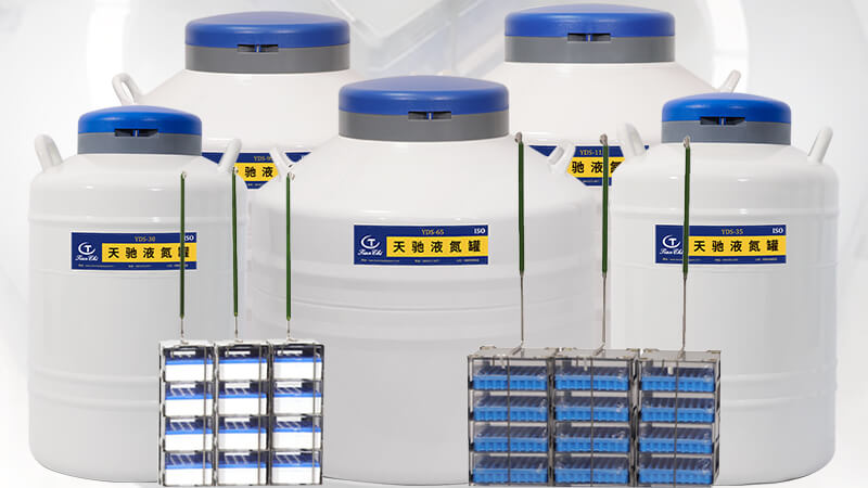 細胞儲存罐(guàn)裏的液氮一定要蓋過樣本嗎