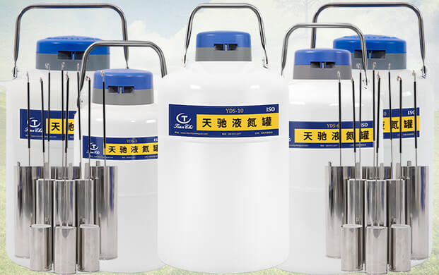 10升（shēng）液氮罐能裝多少支凍精？