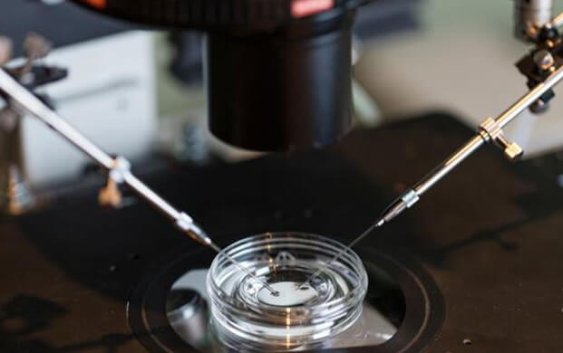 新型（xíng）IVF技術通過糖分子綁定延長精（jīng）子存活（huó）期