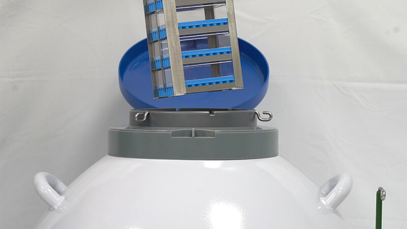 細菌可以凍在實（shí）驗室液氮罐裏嗎