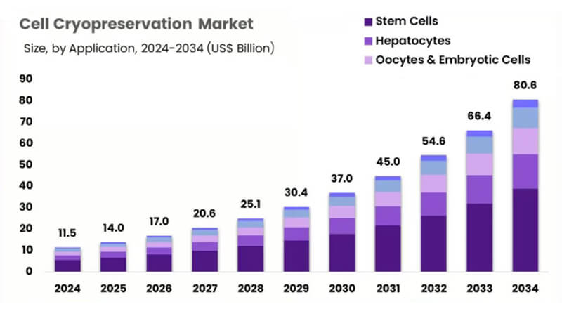 全球細胞冷凍保（bǎo）存市場迎爆發式增長，鋁合金液氮罐技（jì）術創新成關鍵驅動力