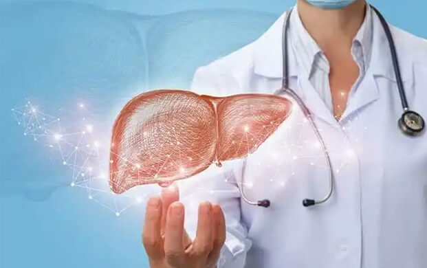 日本培育代謝活（huó）性肝細胞類器官，液氮冷凍技術突破存儲瓶頸