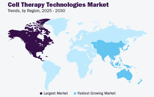 細（xì）胞治療技術市場增長（zhǎng）態勢強勁（jìn），實驗室的液氮容器需求攀升